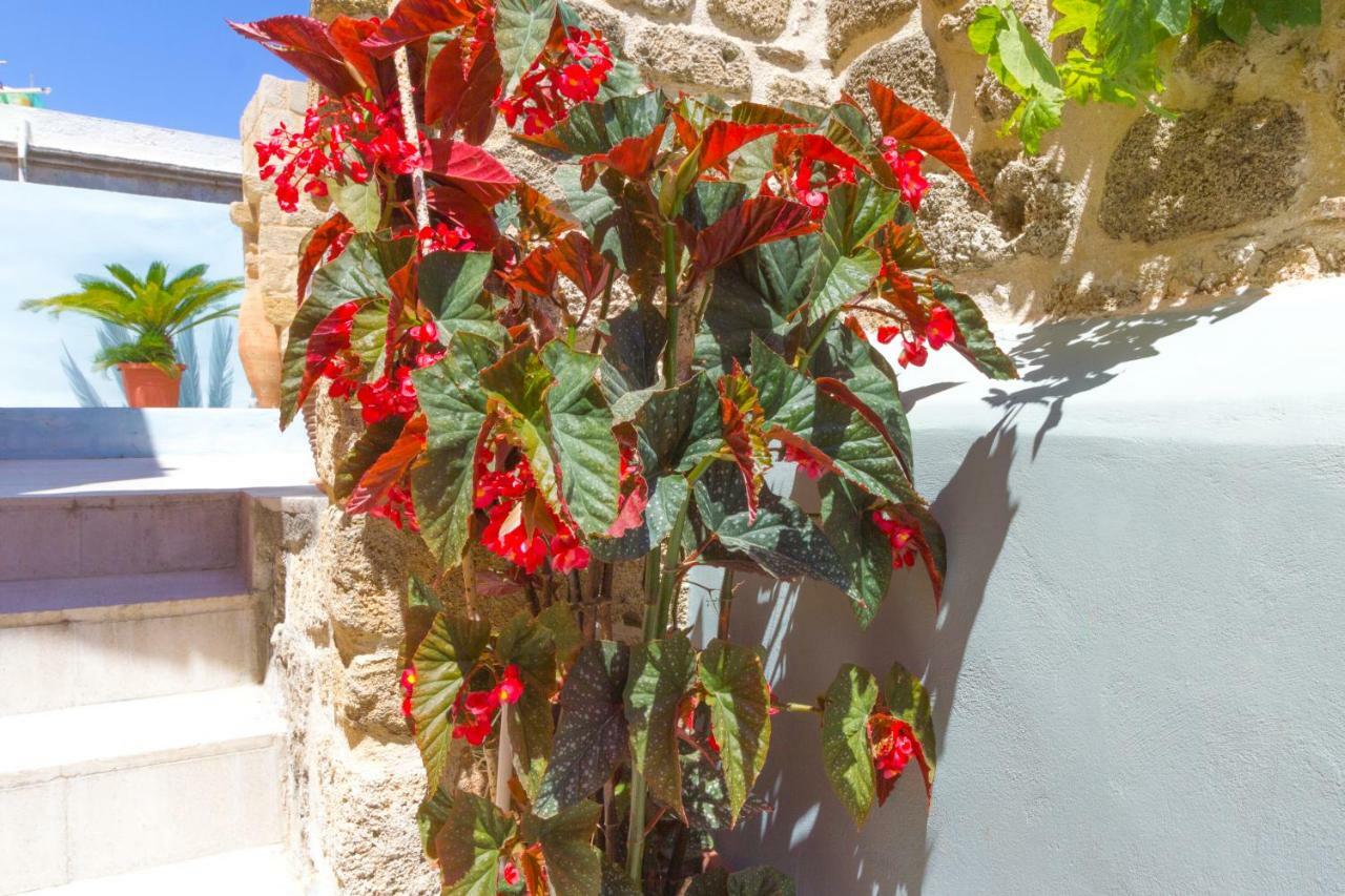 Colours - Old Town - Studios Rhodes City Eksteriør bilde
